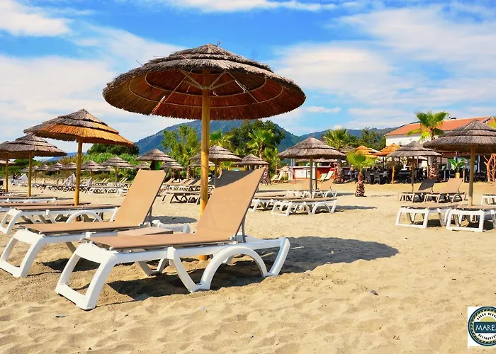 T-2 Air Conditioning Close To The Sea - Equipped - Santa Lucia Di Moriani Appartement